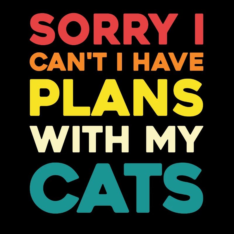 Pas de plans sans chats