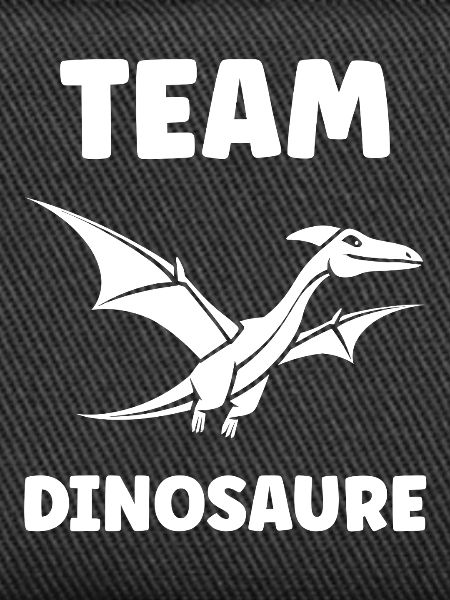 Flying Dinosaur Team