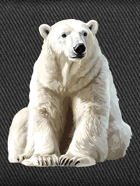 Polarbär im Eislicht