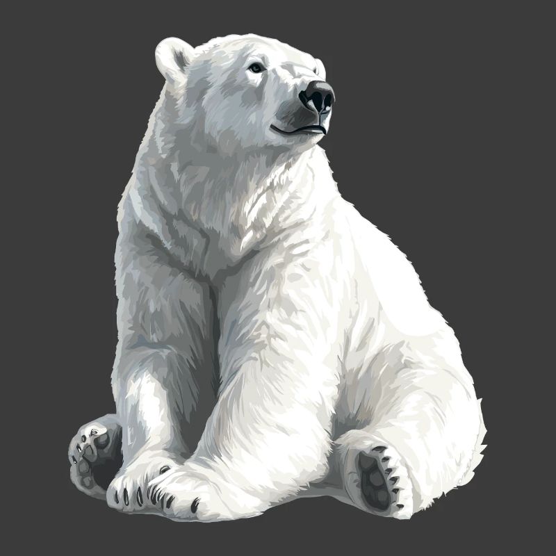 Polar Bär Illustration Eislicht