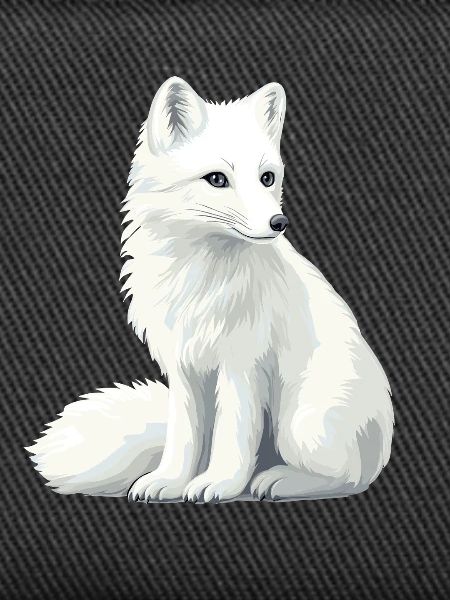 Weiße Fuchsillustration