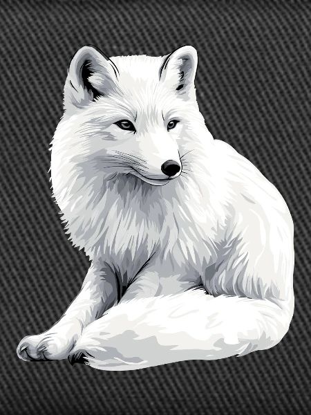 Snow fox