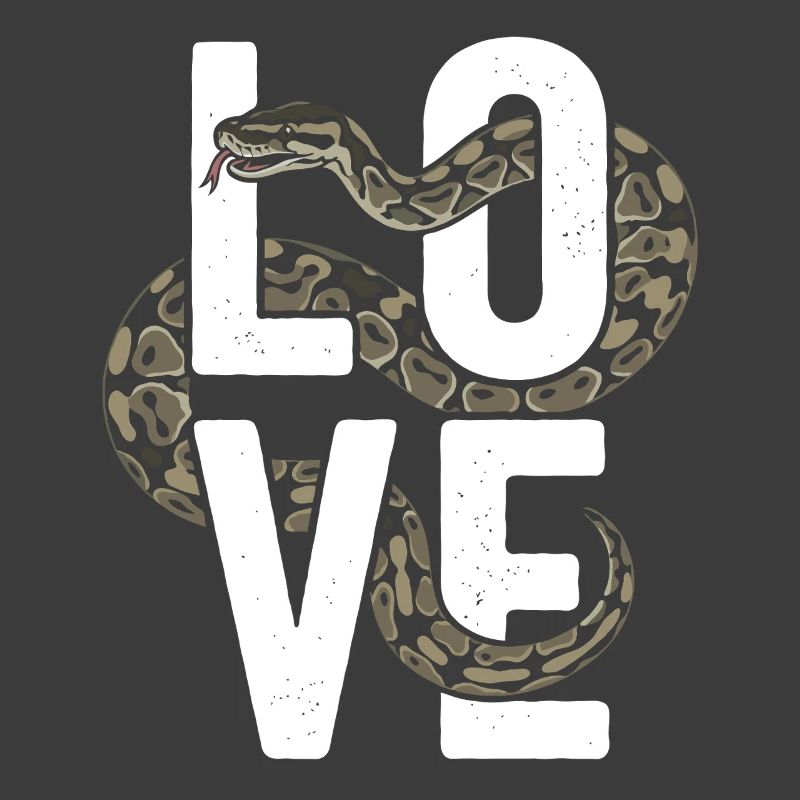 Königspython Schlangen LOVE Terrarium Python