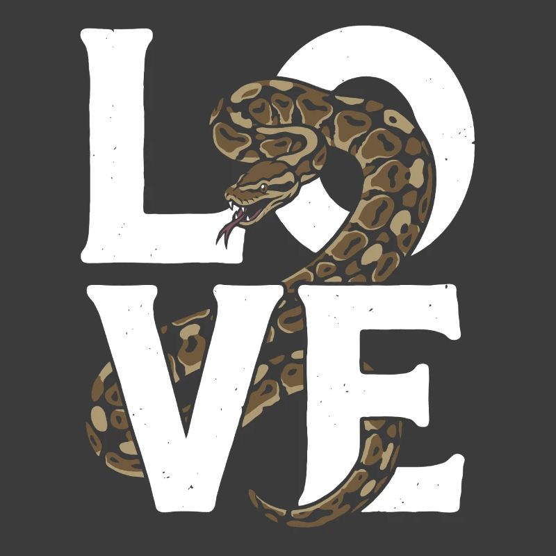 Königspython Schlangen LOVE Terrarium Python