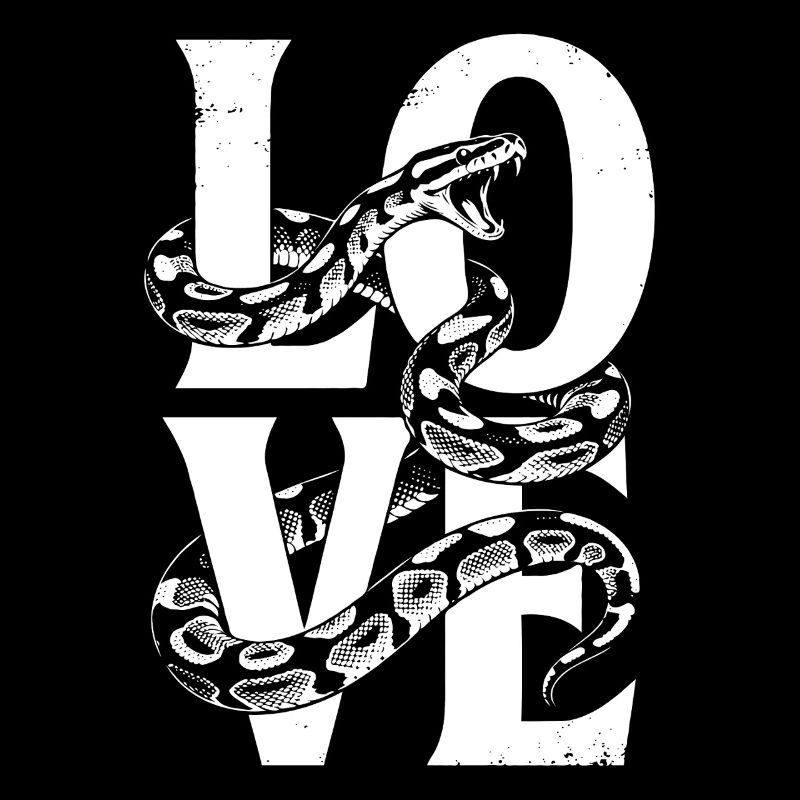 Les serpents rois Python ADORENT les pythons de terrarium