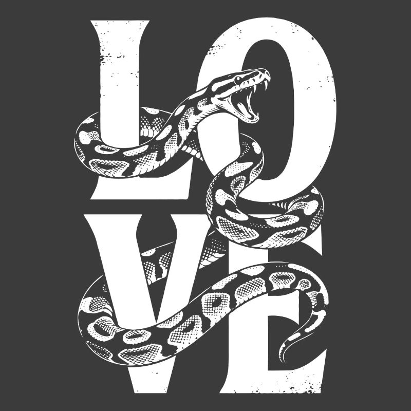 Königspython Schlangen LOVE Terrarium Python