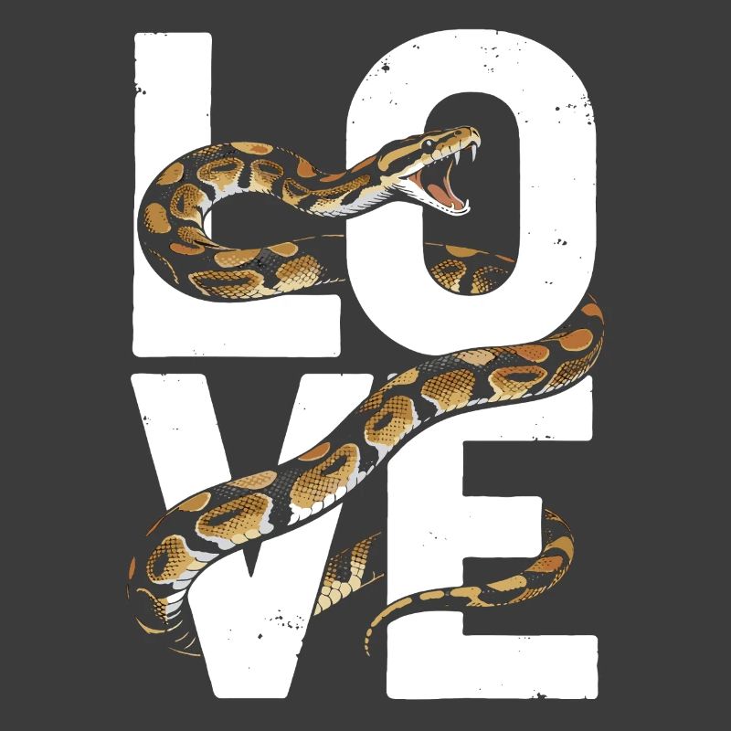 Königspython Schlangen LOVE Terrarium Python