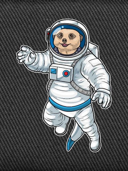 Erdmännchen Astronaut Weltraum