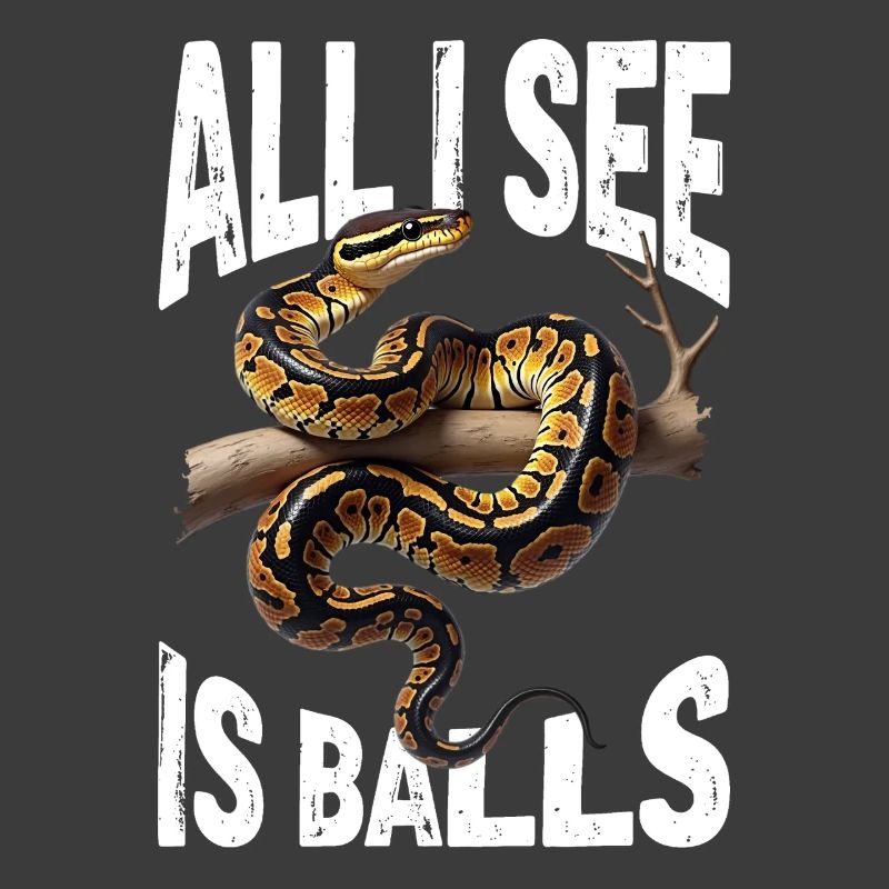 Königspython Schlangen Liebhaber Terrarium Python