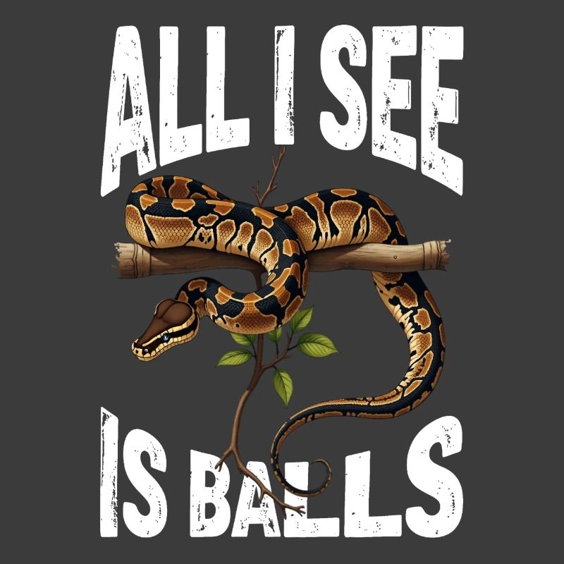 Königspython Schlangen Liebhaber Terrarium Python