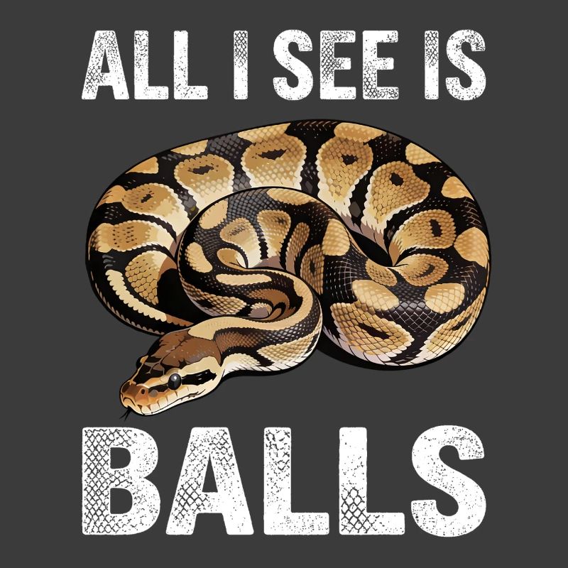 King Python Snakes Lover Terrarium Python