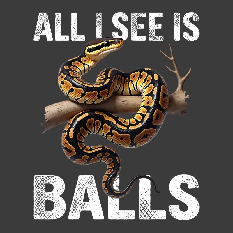 King Python Snakes Lover Terrarium Python