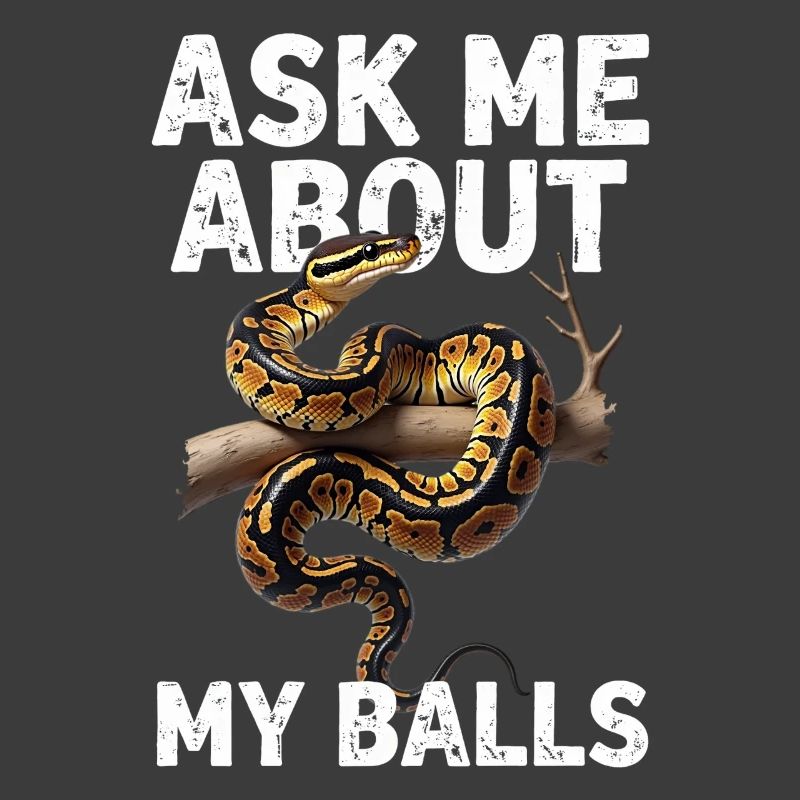 Königspython Schlangen Liebhaber Terrarium Python