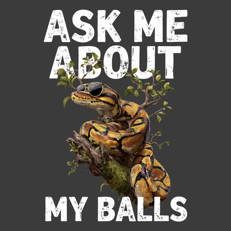 Königspython Schlangen Liebhaber Terrarium Python