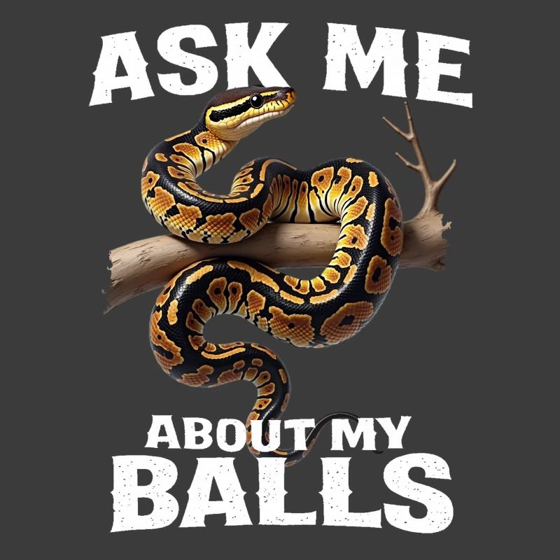 Königspython Schlangen Liebhaber Terrarium Python