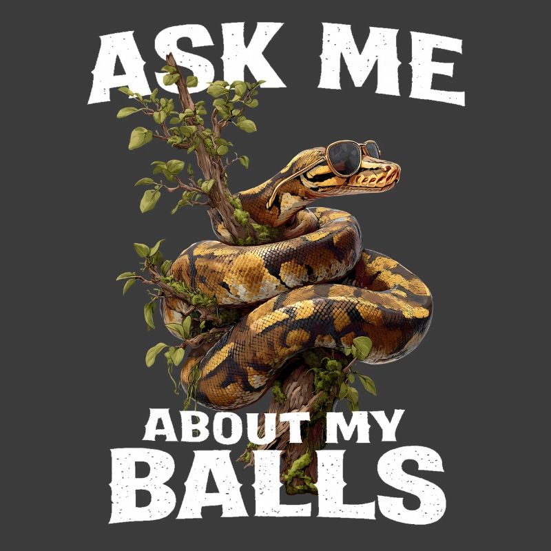 Königspython Schlangen Liebhaber Terrarium Python