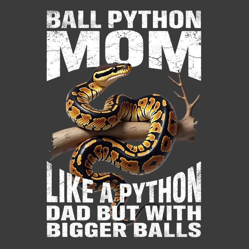 Königspython Mom Mama Schlangen Terrarium Python