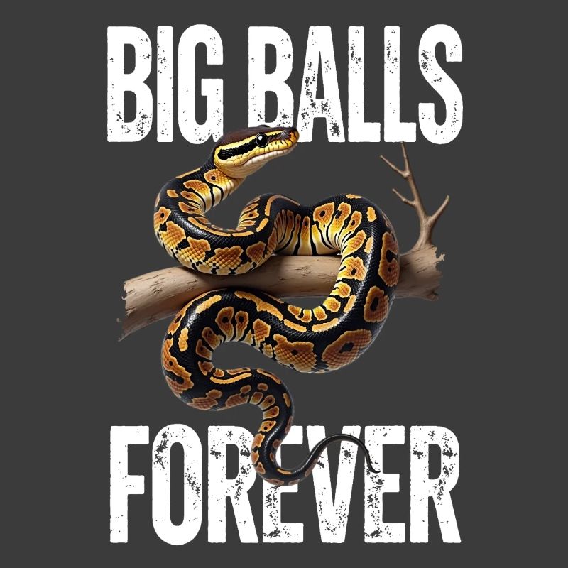 Königspython Schlangen Liebhaber Terrarium Python