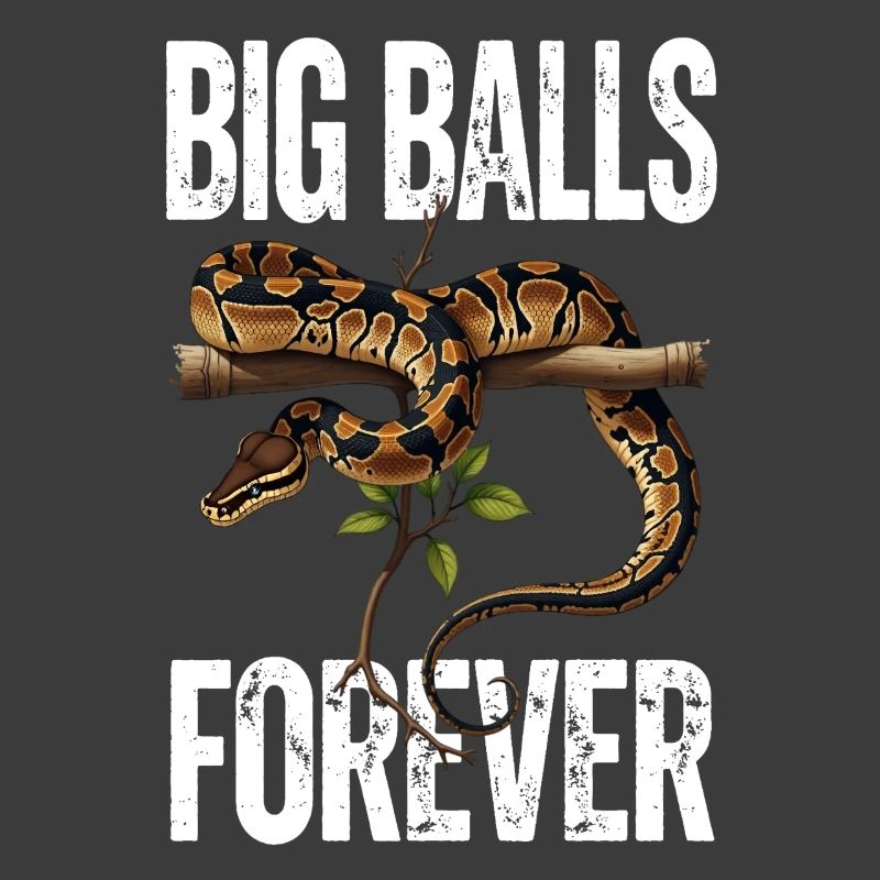 Königspython Schlangen Liebhaber Terrarium Python