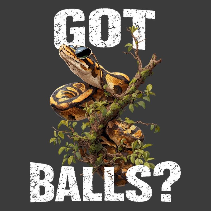 Königspython Schlangen Liebhaber Terrarium Python