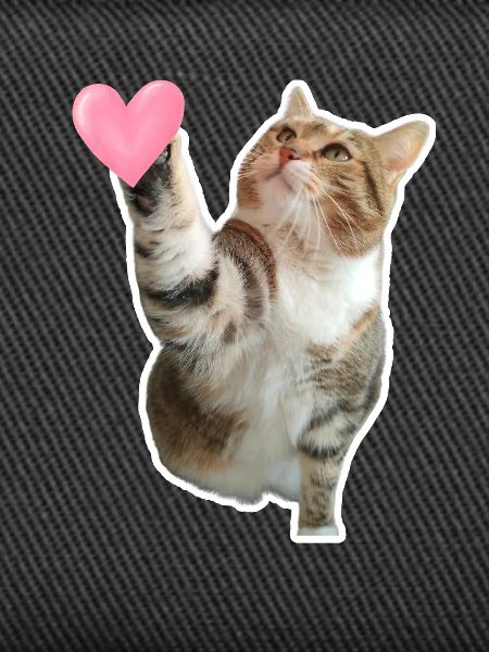 Missty check a heart