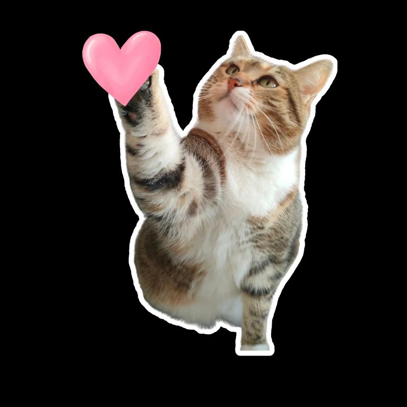 Missty check un coeur