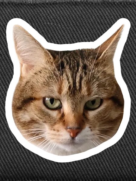Missty sticker triste