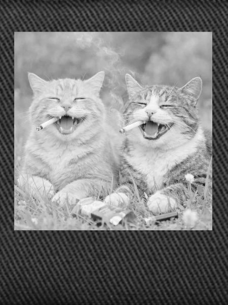 Funny cat design