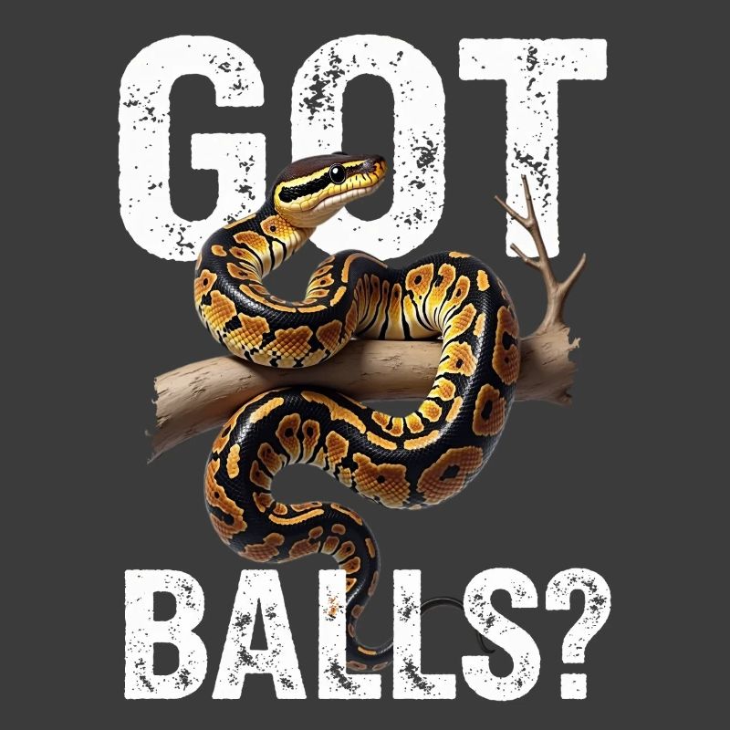 King Python Snakes Lover Terrarium Python