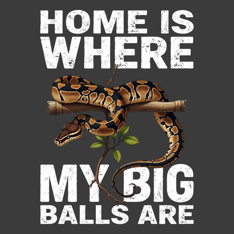 King Python Snakes Lover Terrarium Python