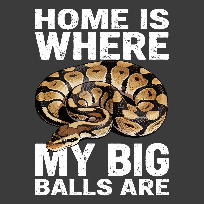 King Python Snakes Lover Terrarium Python