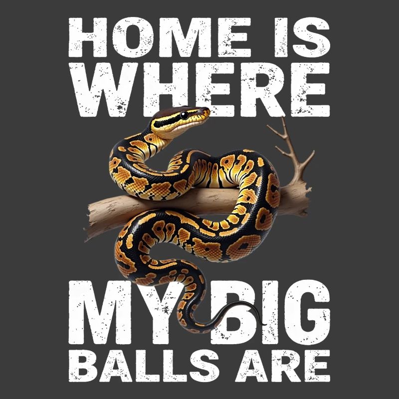 King Python Snakes Lover Terrarium Python