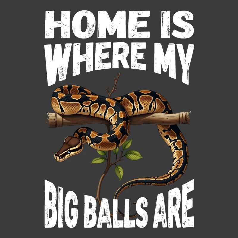 King Python Snakes Lover Terrarium Python