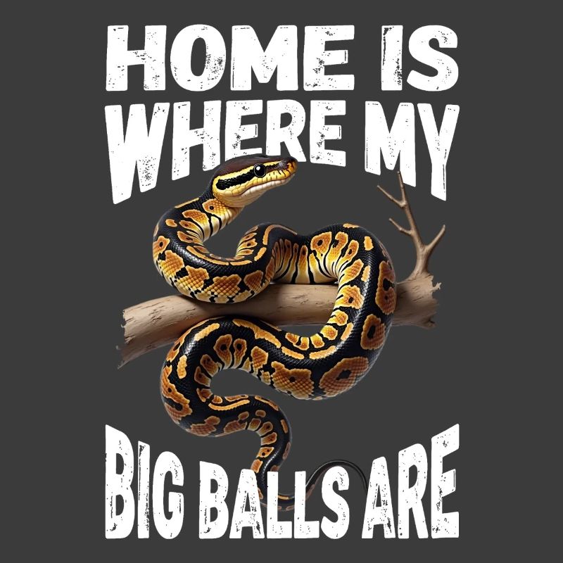 King Python Snakes Lover Terrarium Python