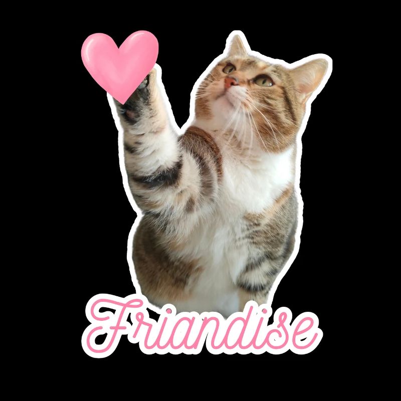 Missty check friandise