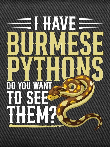 Burmesische Python HDE Schlangen-Stofftier-Reptil