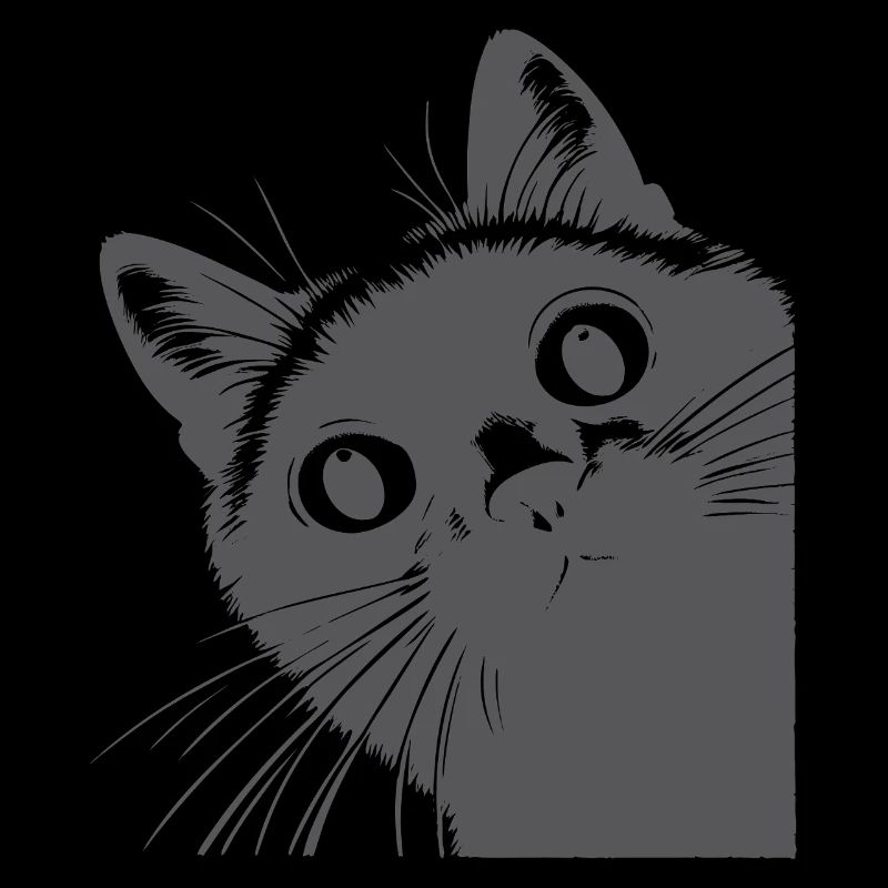 Chat noir