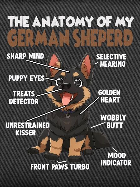 German Shepherd Dog Dog