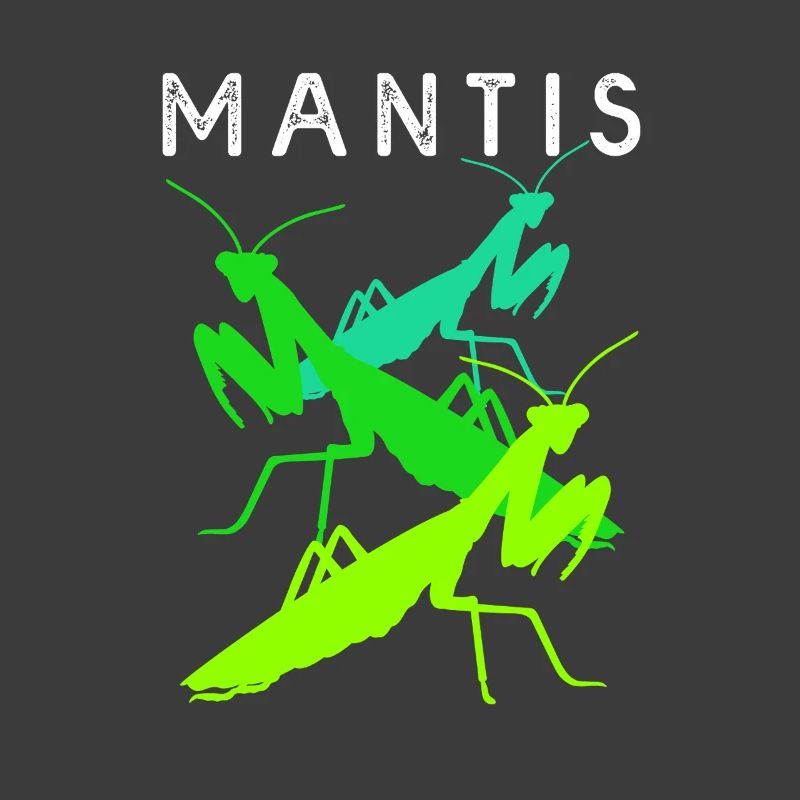 Gottesanbeter Gottesanbeterin Mantis