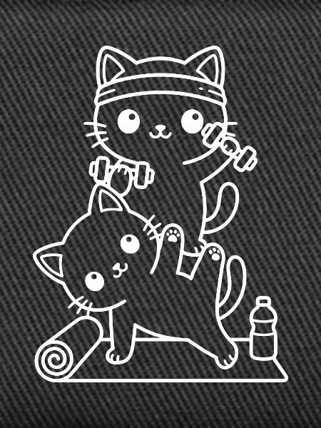Kawaii cats training