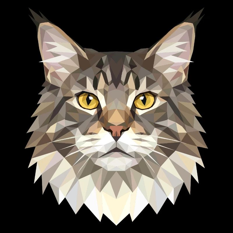 Maine Coon Chat Chat Maman Chat Maine Coon Chats