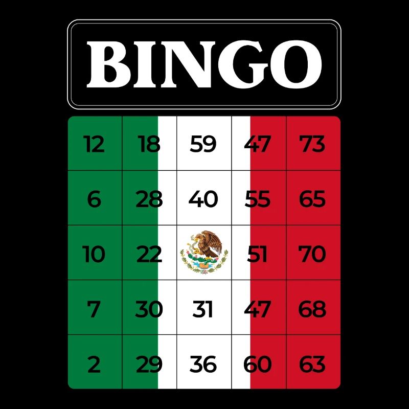 Bingo Player Bingo Mexico Theme Bingo