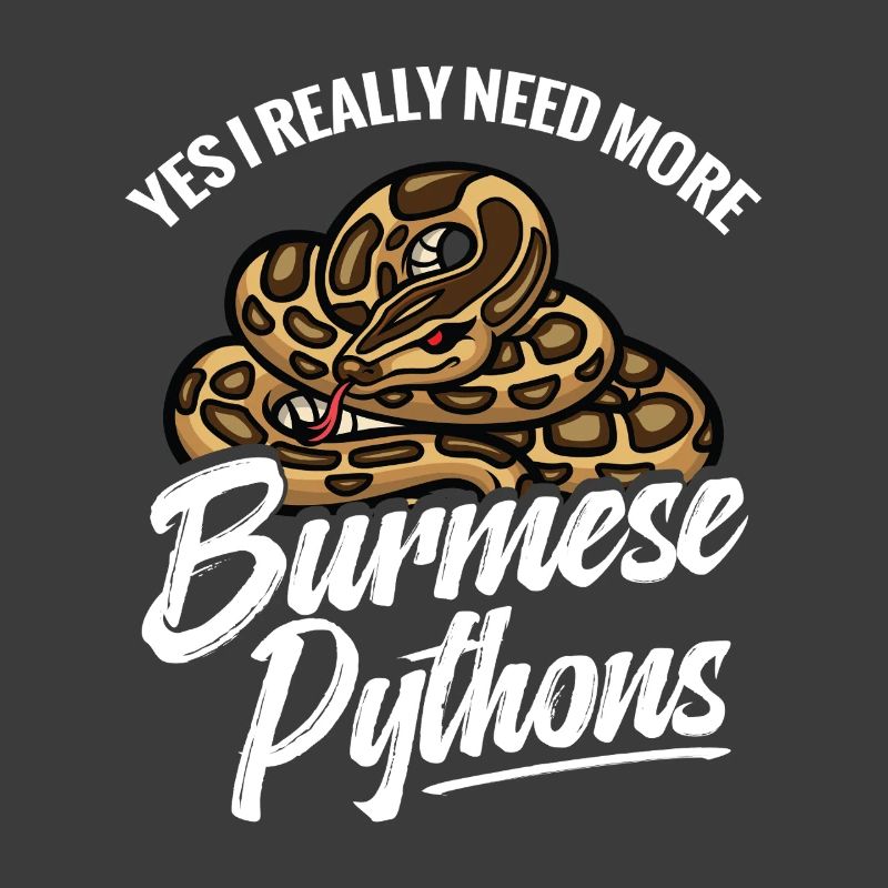 Python amoureux Serpent Maman Terrarium Papa reptile