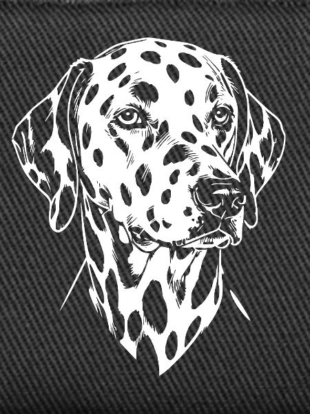 Dalmatian Head