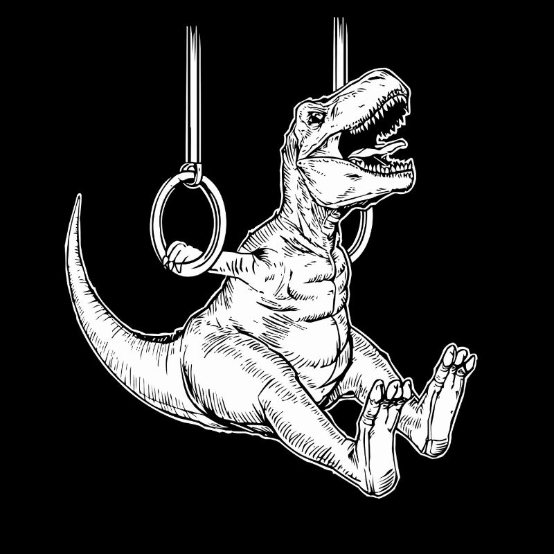 Gymnasts Dinosaurs Gymnastics Ring Gymnastics Gymnastics