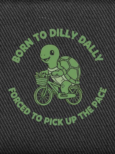 Gartenturtle auf dem Fahrrad