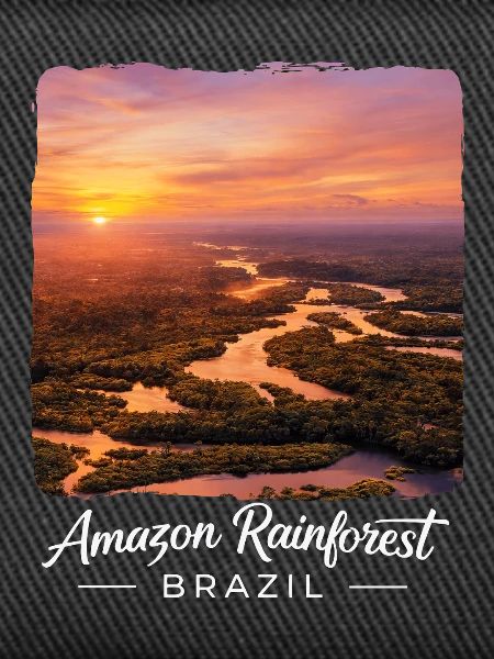Rainforest Sunset Brazil