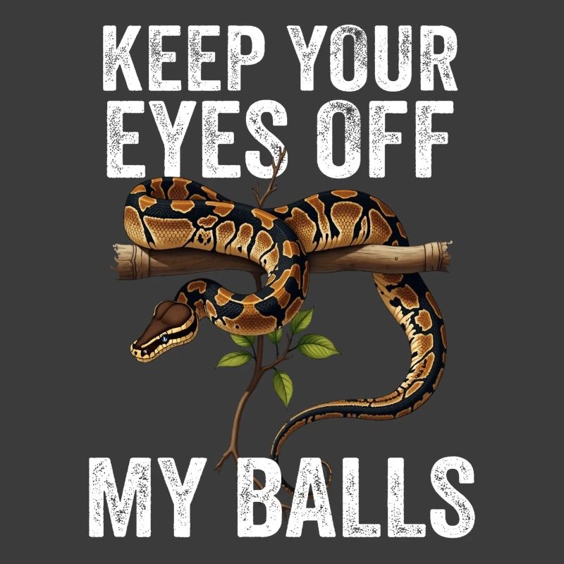 Königspython Schlangen Liebhaber Terrarium Python