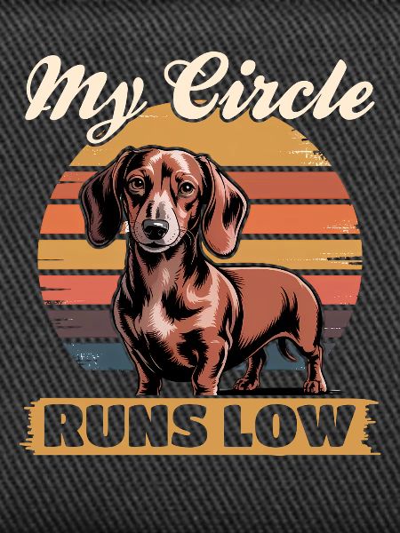 Funny Dog Breed Dachshund