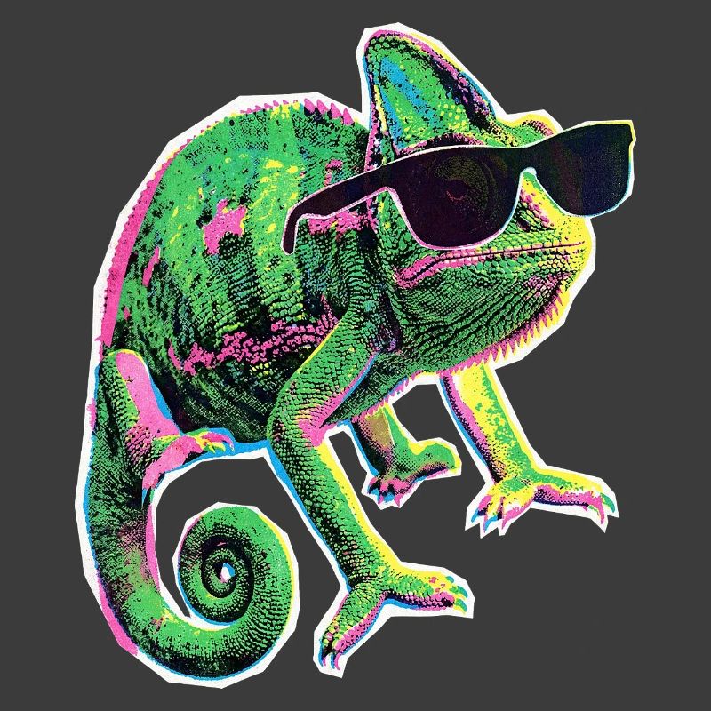 Chameleon Sunglasses